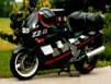 Packesel alt