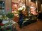 Preview of: 
bologna05.jpg 
666 x 500 JPEG-compressed image 
(86,441 bytes)