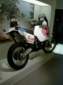 Preview of: 
ducati06.jpg 
375 x 500 JPEG-compressed image 
(34,090 bytes)