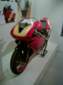 Preview of: 
ducati12.jpg 
375 x 500 JPEG-compressed image 
(30,430 bytes)
