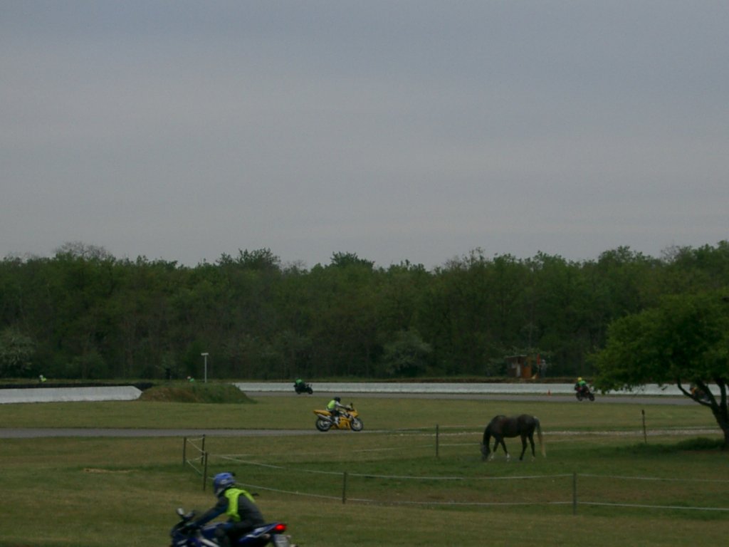 Adr39.jpg 
1,024 x 768 JPEG-compressed image 
(72,343 bytes)