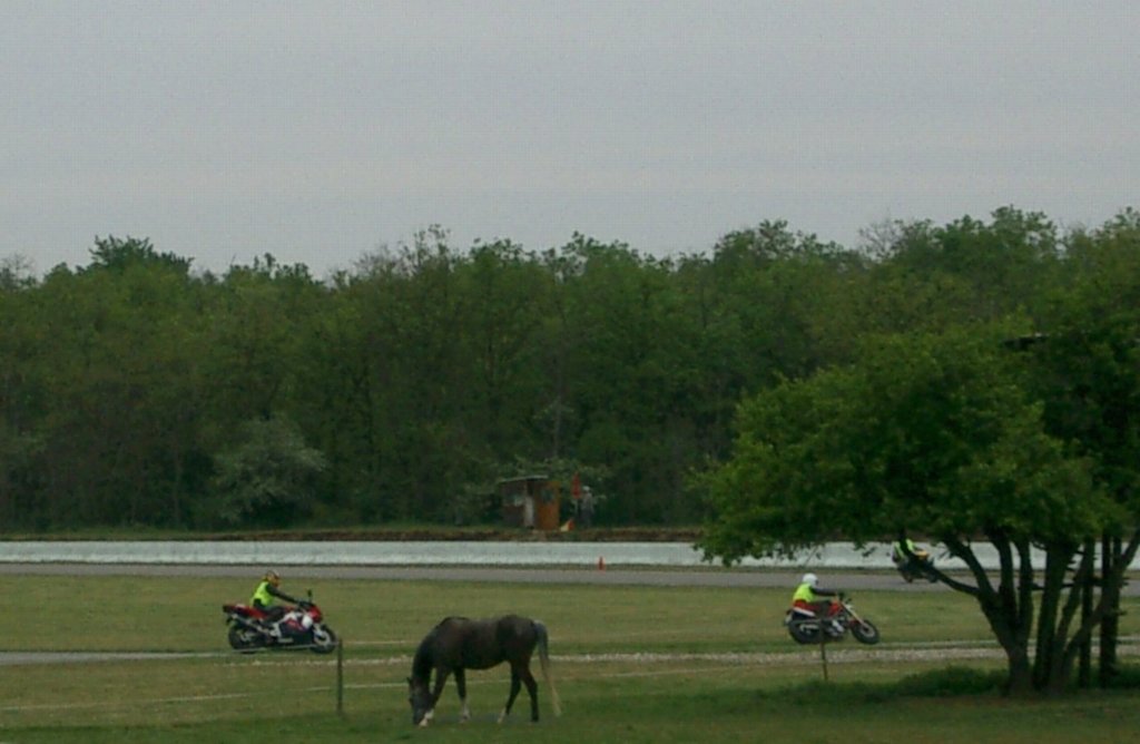 Adr40.jpg 
1,024 x 668 JPEG-compressed image 
(86,913 bytes)