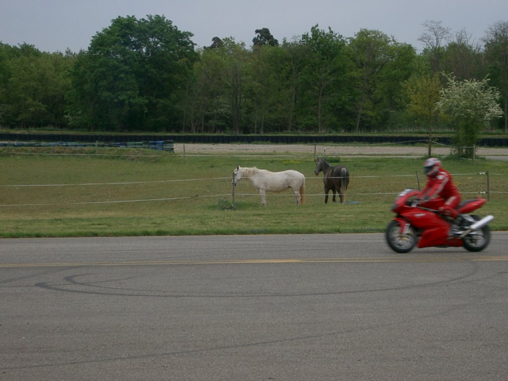 Adr42.jpg 
1,024 x 768 JPEG-compressed image 
(128,190 bytes)