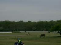 Preview of: 
Adr39.jpg 
1,024 x 768 JPEG-compressed image 
(72,343 bytes)