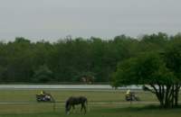 Preview of: 
Adr40.jpg 
1,024 x 668 JPEG-compressed image 
(86,913 bytes)