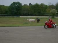 Preview of: 
Adr42.jpg 
1,024 x 768 JPEG-compressed image 
(128,190 bytes)