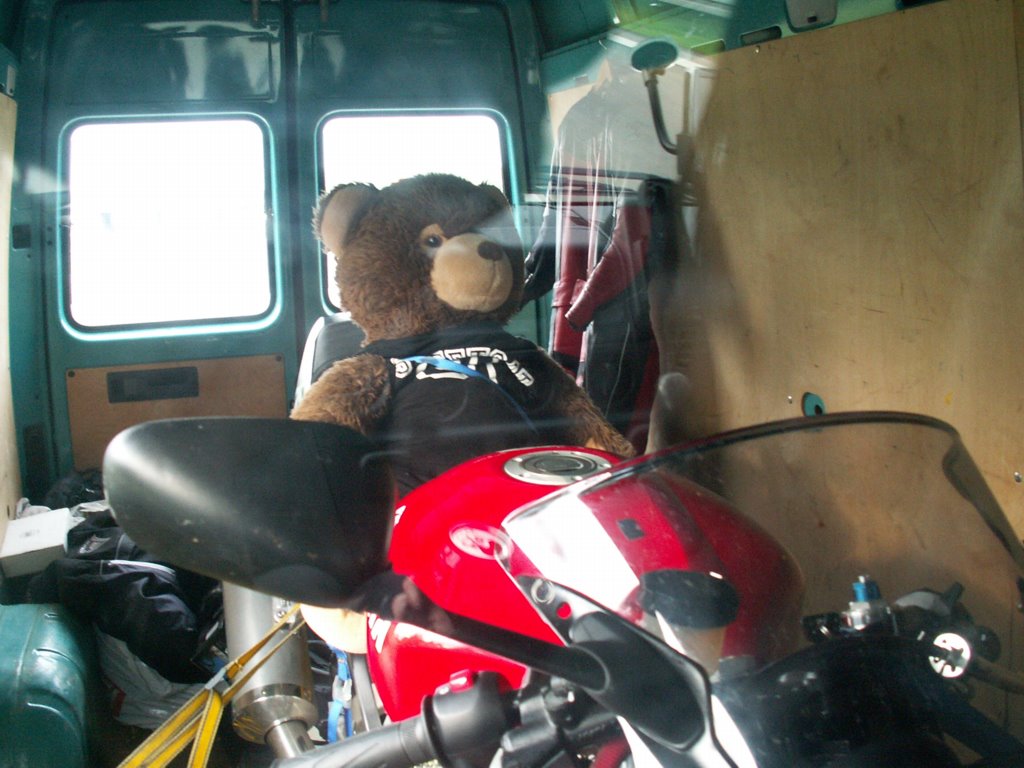 adr01.jpg 
1,024 x 768 JPEG-compressed image 
(135,835 bytes)