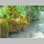 IMG_4194.JPG