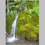 IMG_4195.JPG