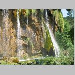 IMG_4201.JPG