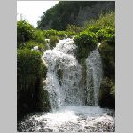 IMG_4218.JPG