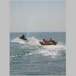 IMG_4331.JPG