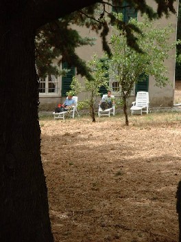 Im Garten